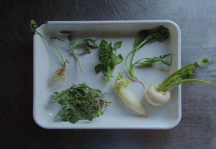 土鍋で炊く春の七草粥～お米から炊くお粥は格別！～