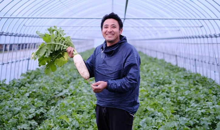 松本さんの“人情”がこもった加賀野菜「源助だいこん」／石川・金沢市 松本充明さん