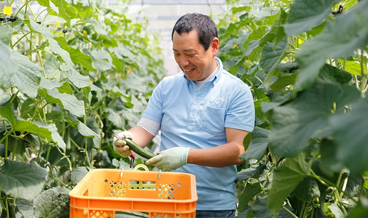 サラリーマンから転身、就農して田舎“ビジネス”マンへ／高知・春野町 越智史雄さん