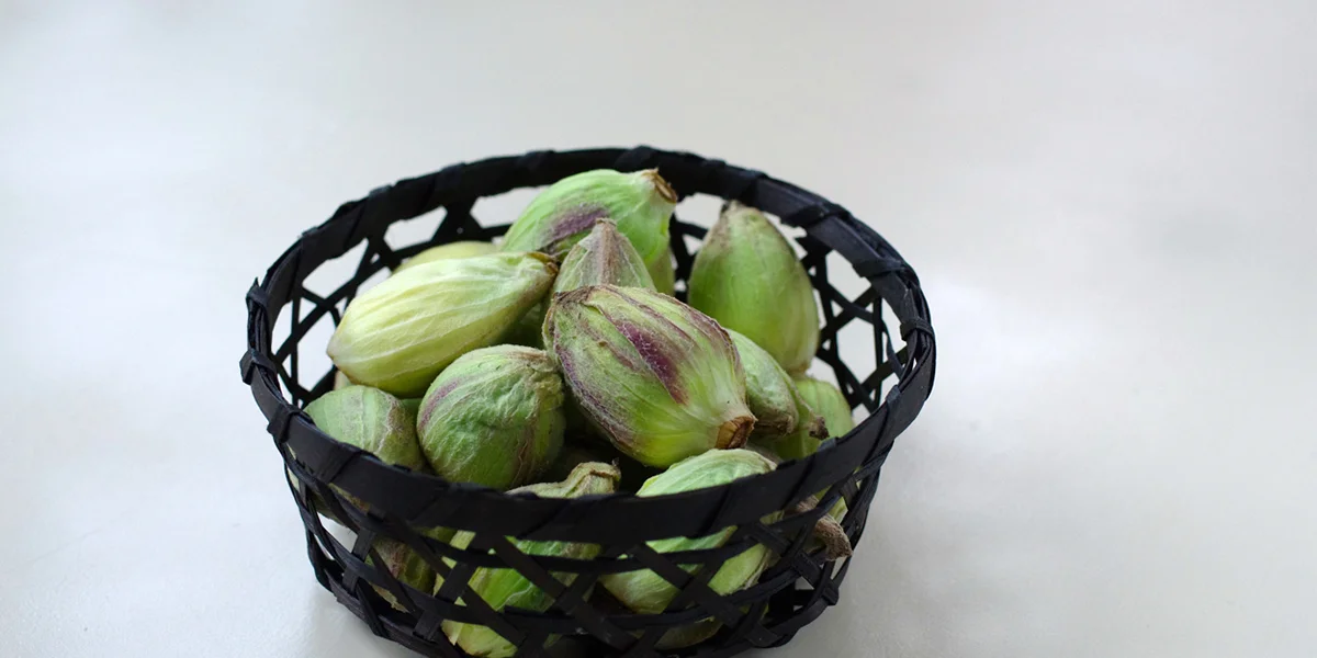 山菜料理はじめの一歩！「ふきのとう味噌」