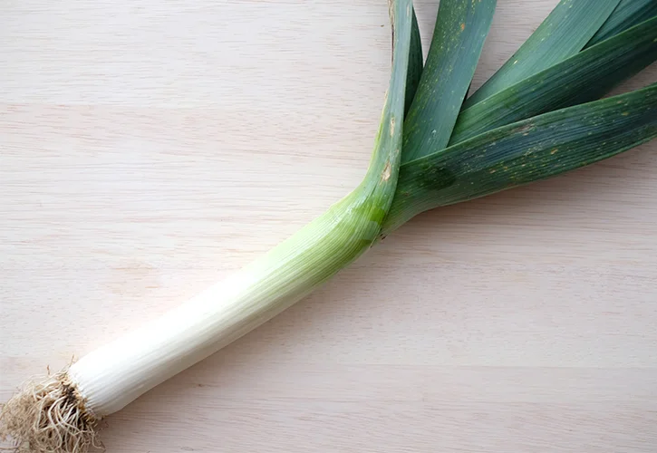 岐阜・高山のジャンボな新顔野菜「高山ポアロ」