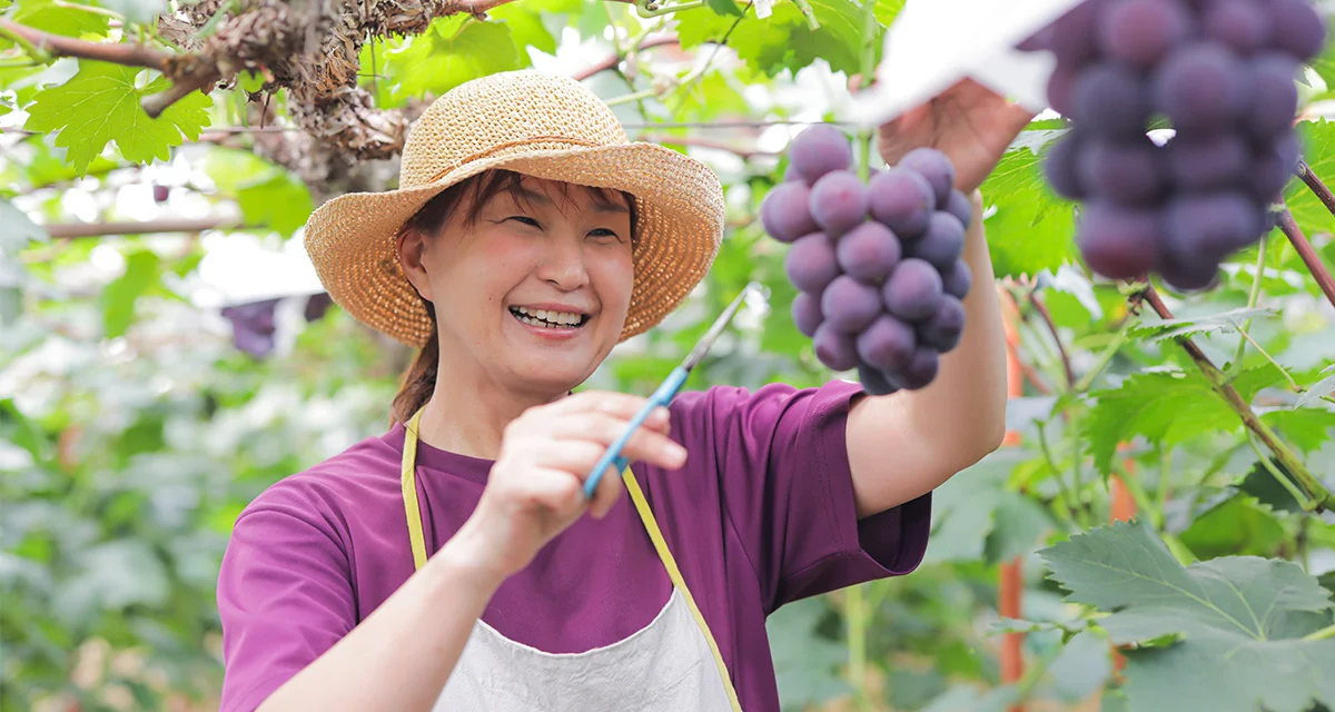 ぶどう農園を武器に、 地域活性に全力でチャレンジ／香川・さぬき市　長谷 真里さん