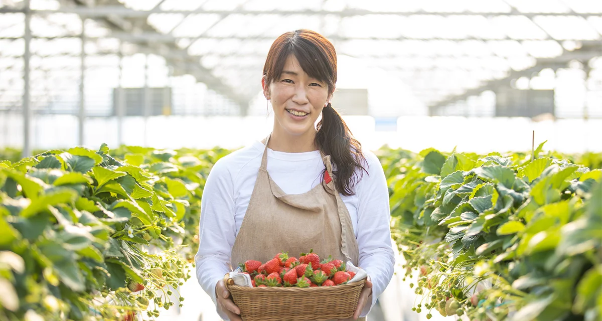 人にもイチゴにも 快適な環境をつくる／香川・三豊市　横山 千恵さん　