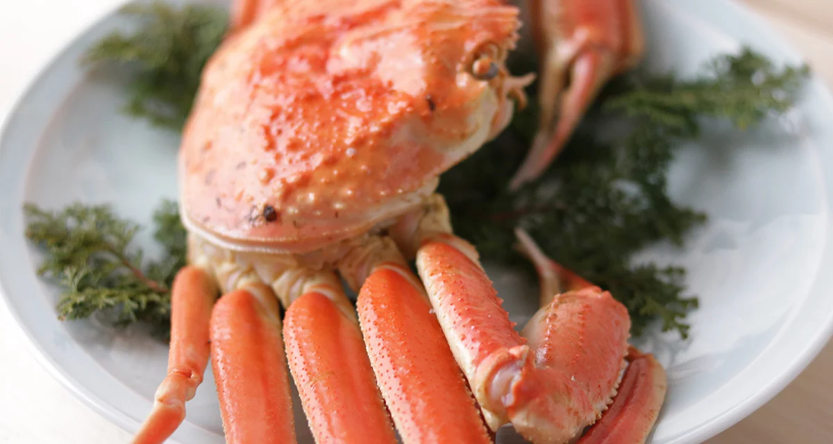 松葉ガニの美味しく食べられる時期は？
