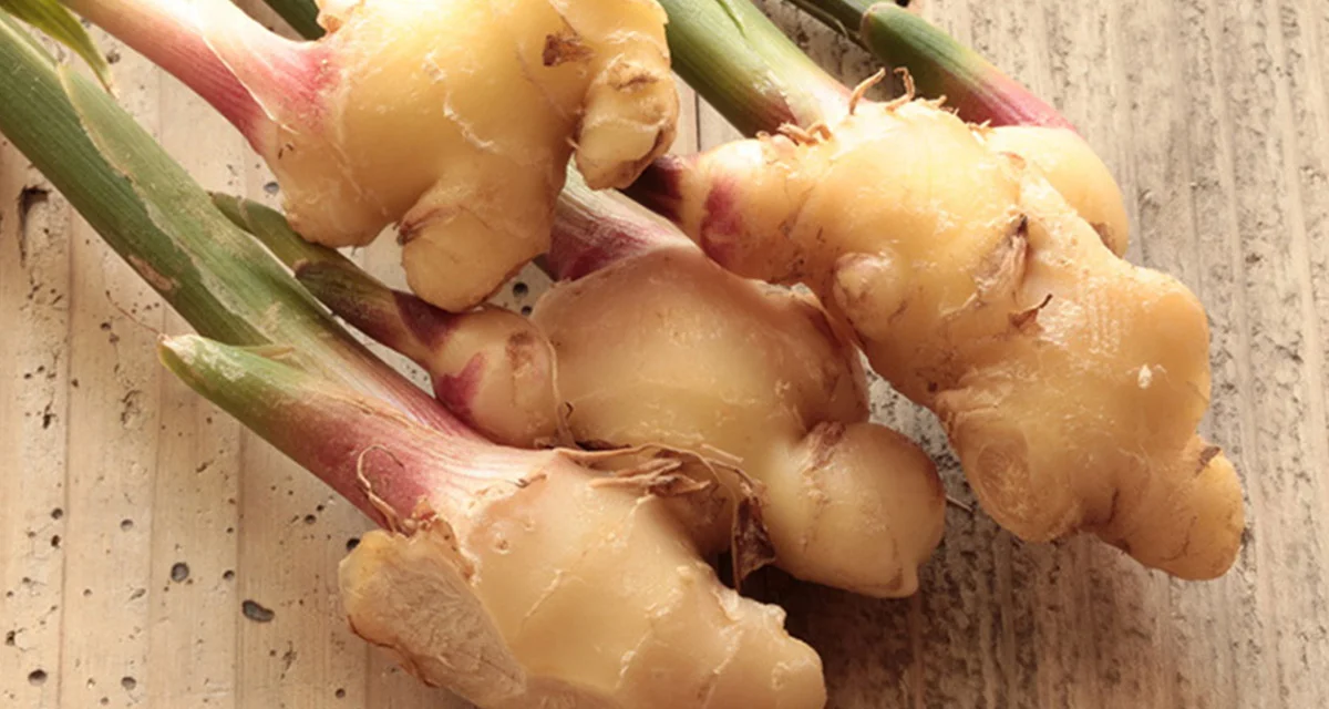生姜は大きさや部位で名前が変わる？！