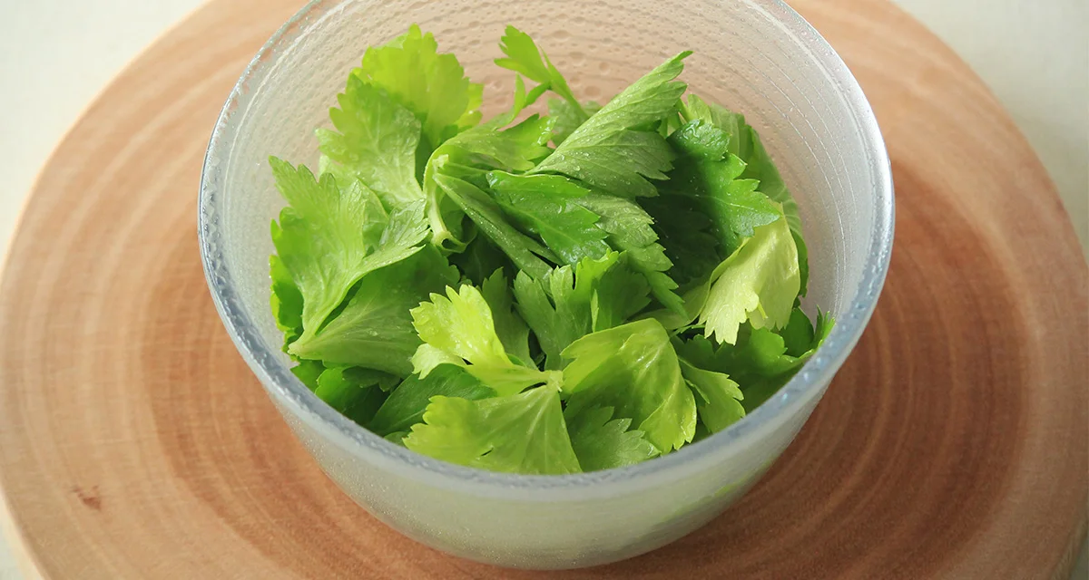 捨てずに活用！セロリの葉