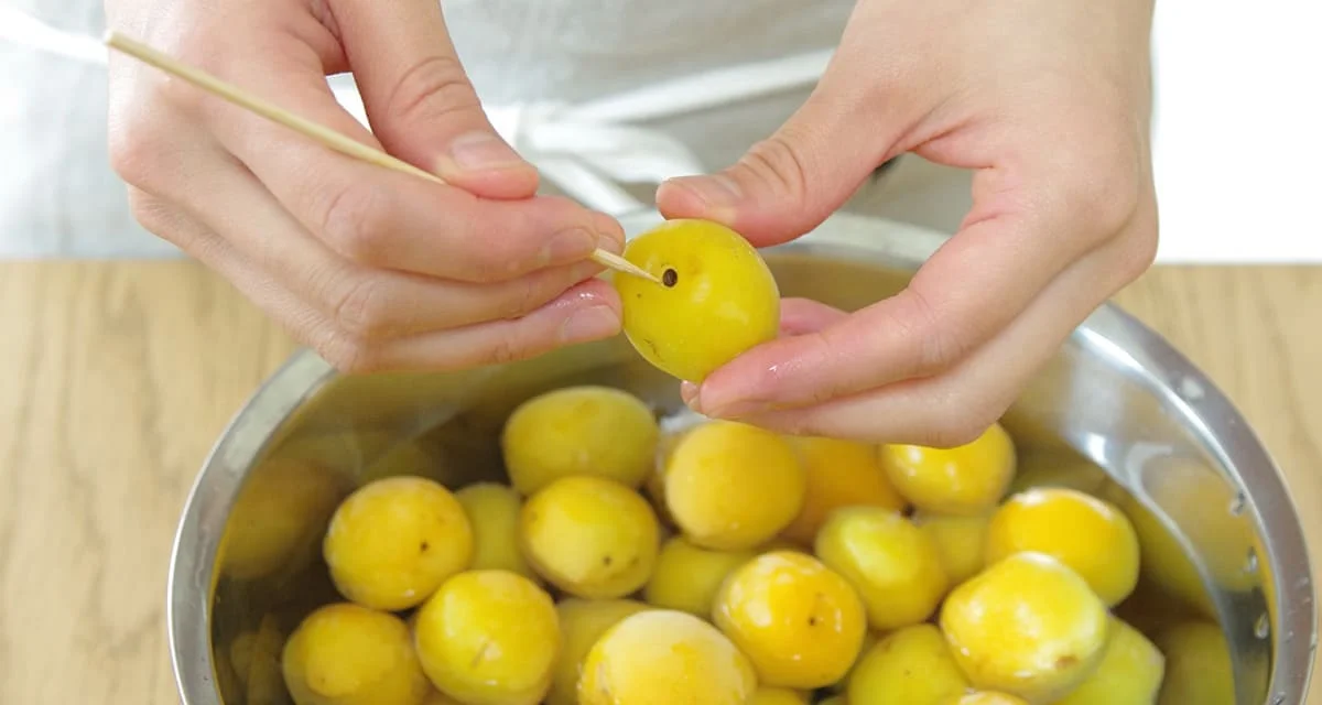 梅干しの作り方＜塩漬け＞編