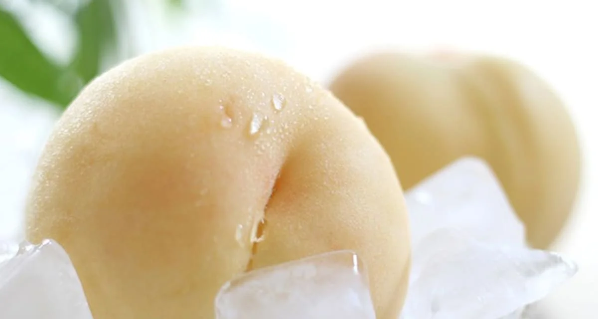 白桃ってどんな桃？