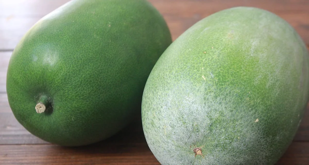 冬瓜は冬野菜なの夏野菜なの？