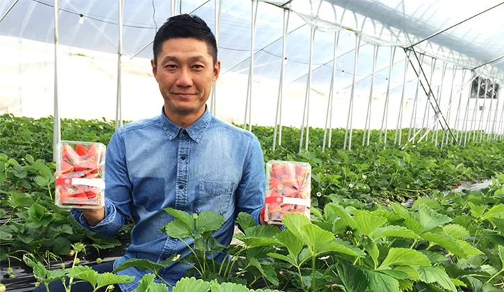 心も苺も真っ赤にするいちご農家さんの想い ～愛知県岡崎市のいちご農家「伊藤園」伊藤吉孝さん