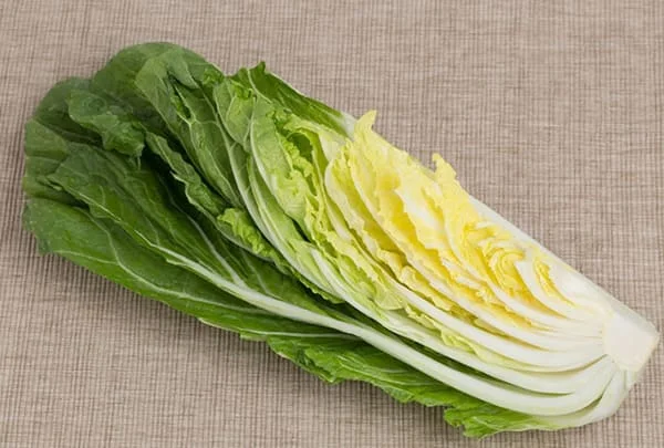 意外と長持ち！？白菜を瑞々しく保存する方法