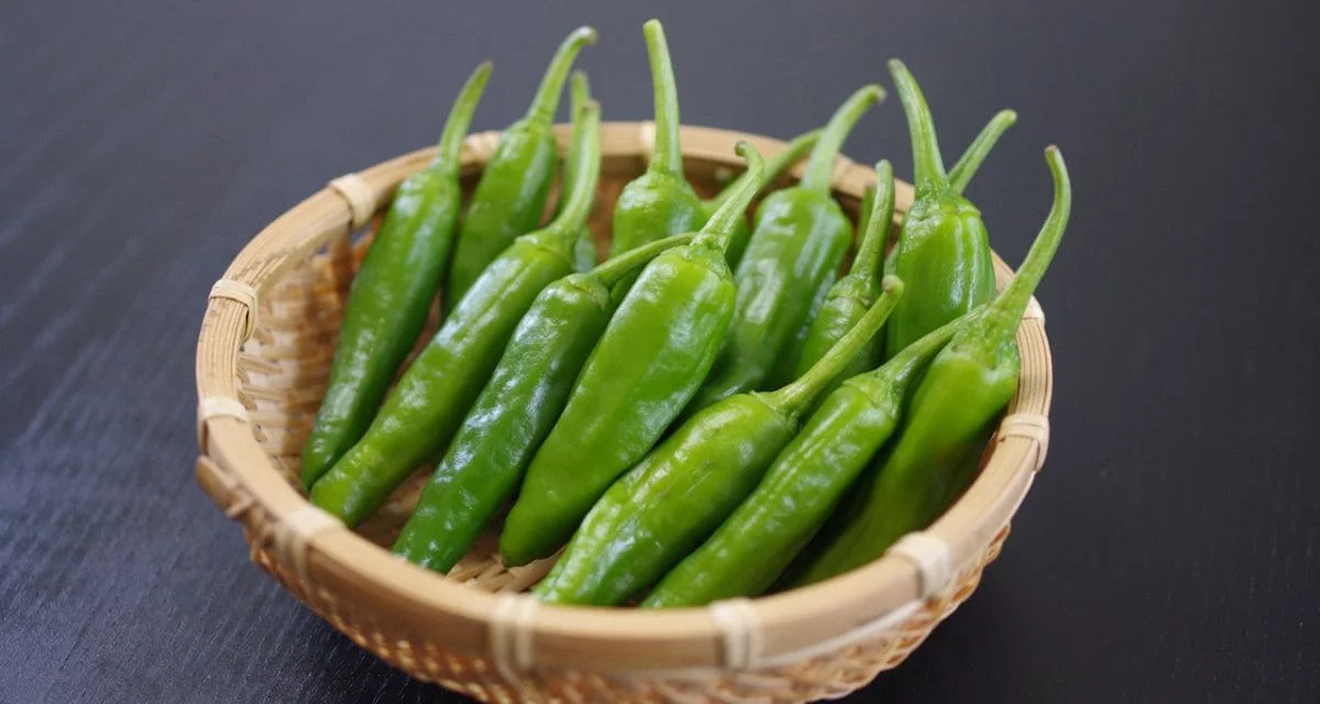 夏の優秀野菜「ししとう」を知る！