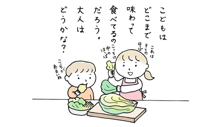 白菜は部位の使い分けが鍵！白菜料理、もっと美味しく。