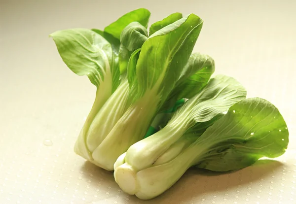 中国からやってきた人気野菜「チンゲンサイ」