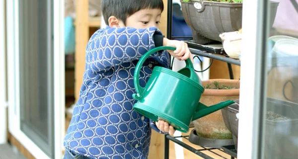 お米のとぎ汁の有効活用法