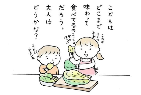 白菜は部位の使い分けが鍵！白菜料理、もっと美味しく。