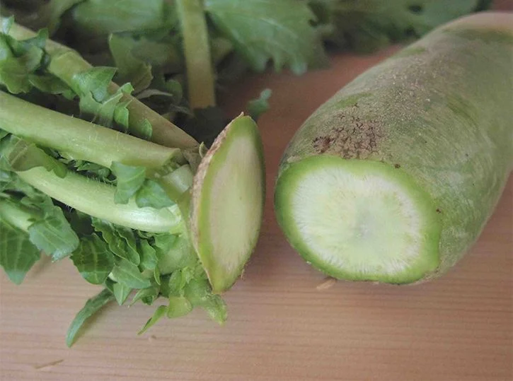 辛味大根