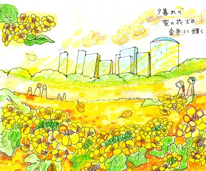菜の花畑