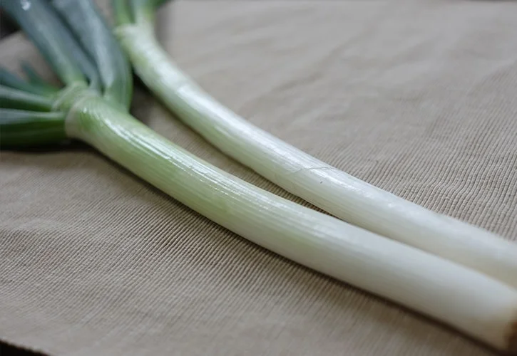 ねぎの見分け方