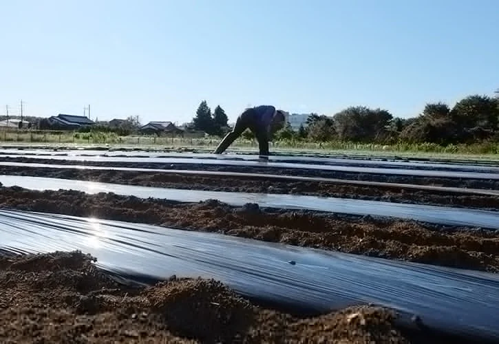ヤナガワファーム
