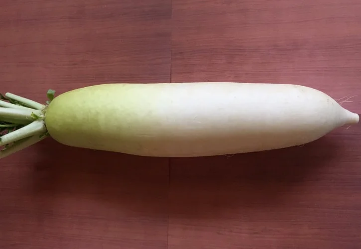 大根の保存方法