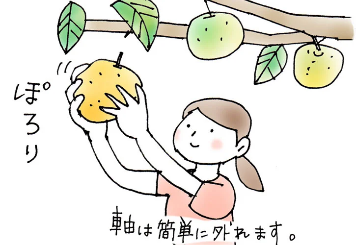 なし狩りは簡単