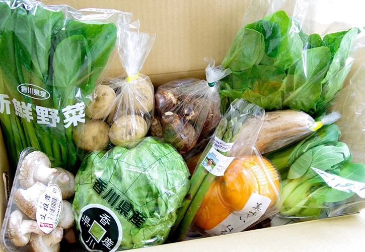臼杵さんの野菜セット
