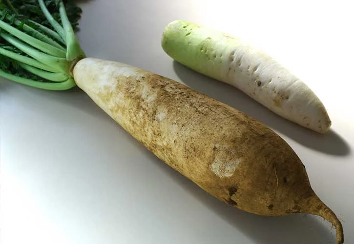 三浦大根