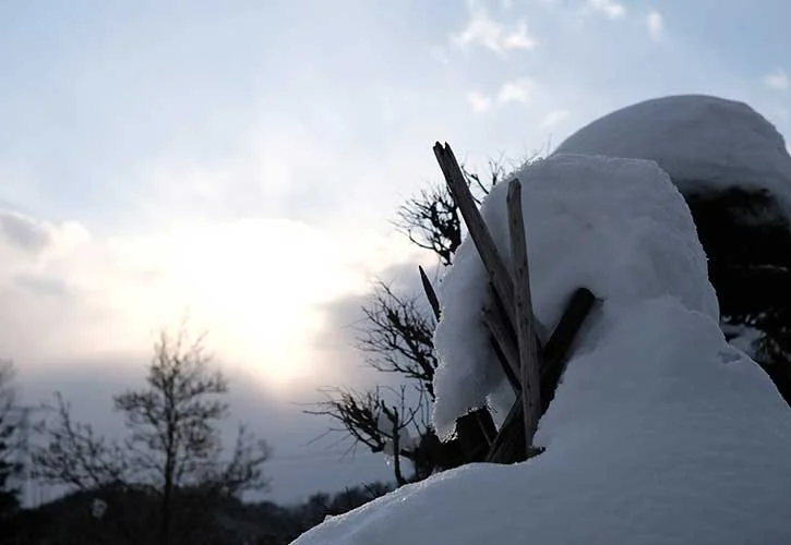 雪による農業への影響