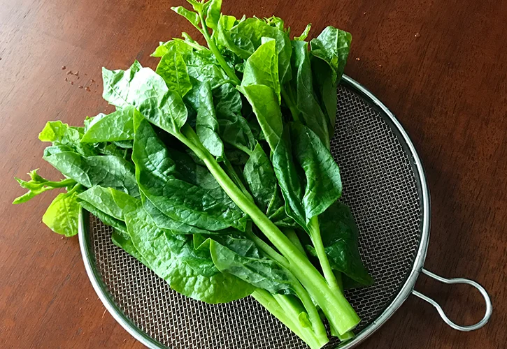 生で食べれる？つるむらさき