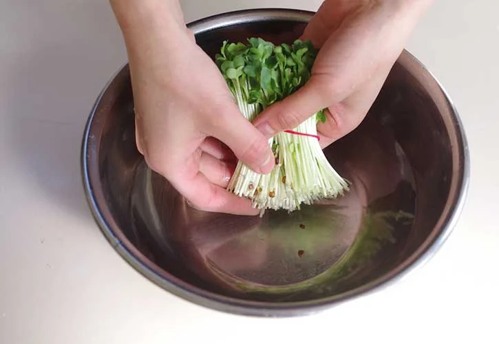 かいわれ菜の切り方