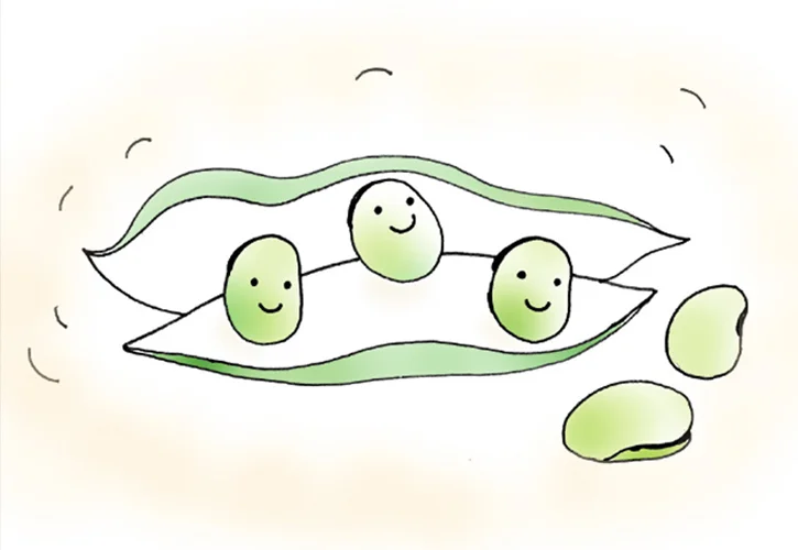 そら豆