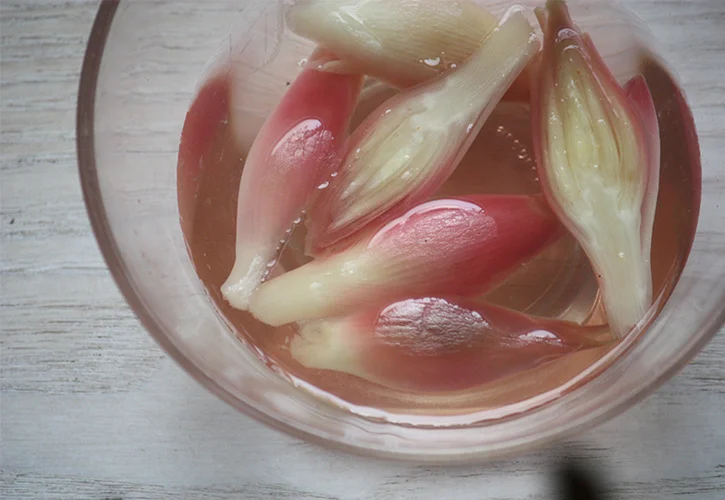 みょうがを酢につける