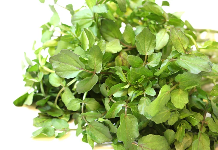 watercress