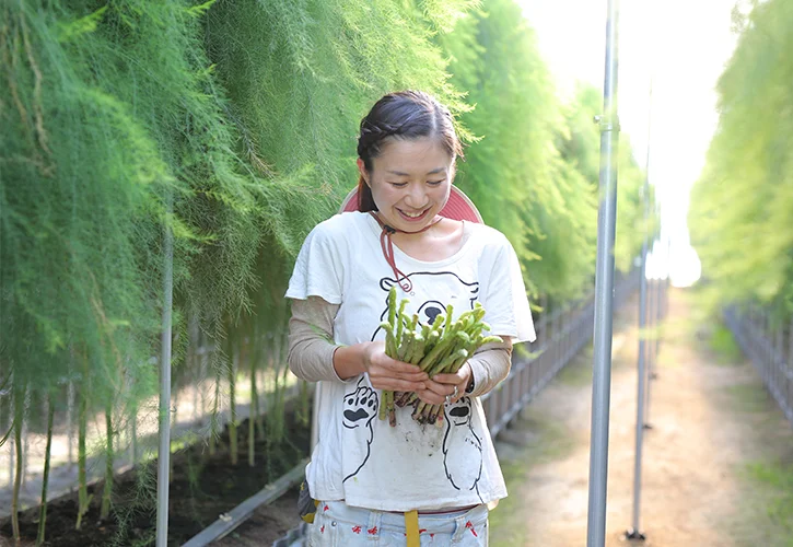URAfarmアスパラ
