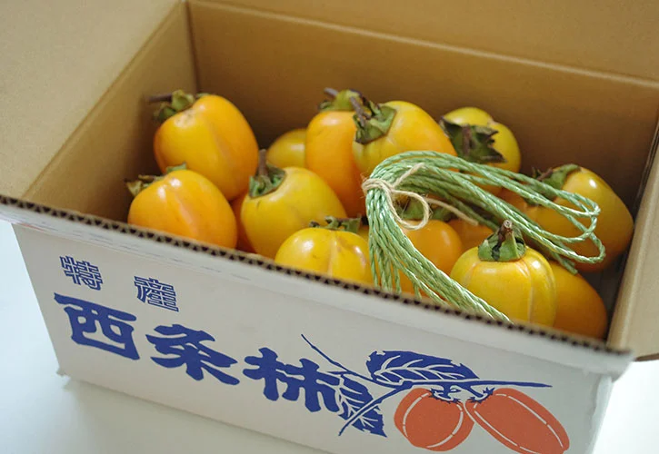 岡崎ファームの西条柿