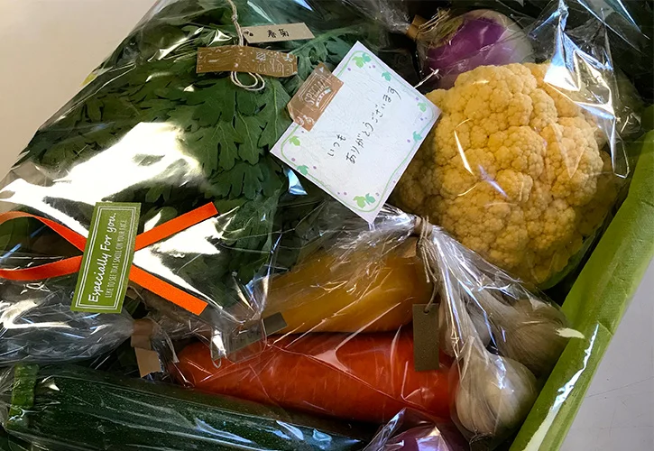 vegelife