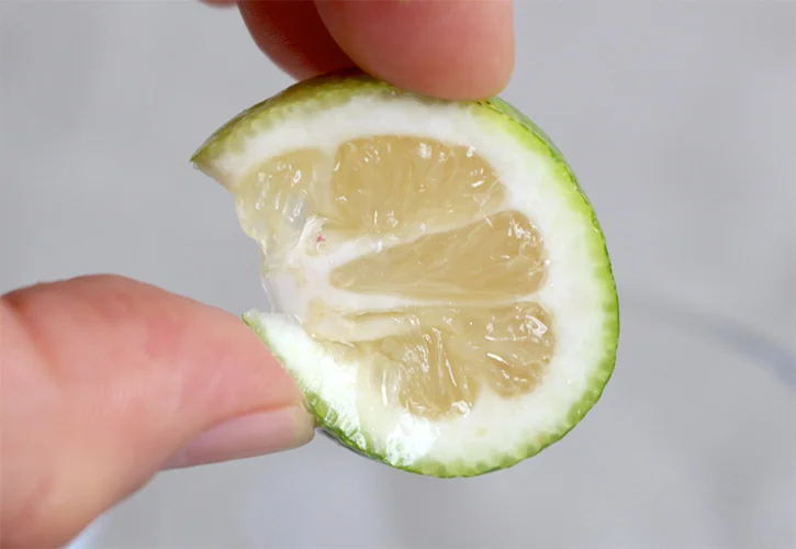 かぼすしぼる