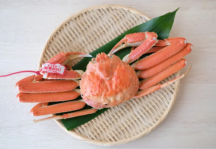 松葉ガニタグ付き