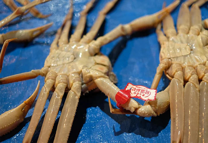松葉ガニ裏タグ寄り