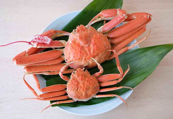 松葉ガニオス・メス