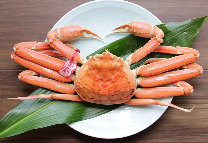 マツバガニ皿