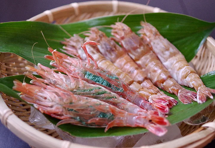 モサエビ