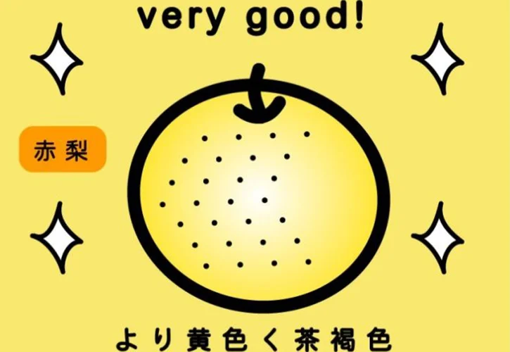赤梨の見分け方