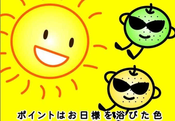 赤梨の見分け方