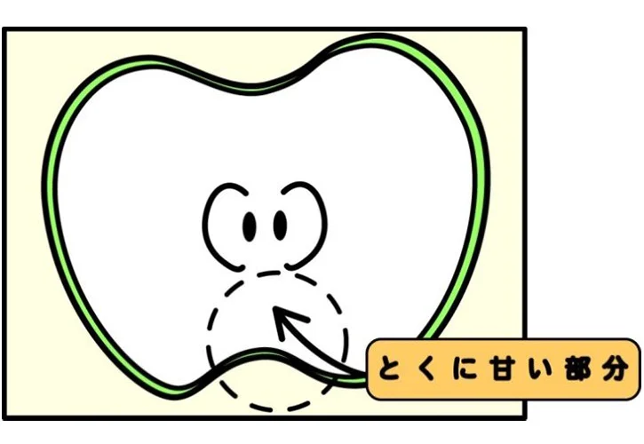 美味しい梨の見分け方