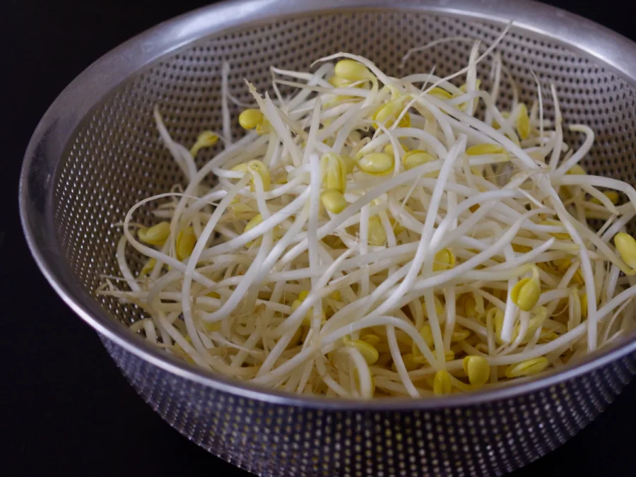 大豆もやし