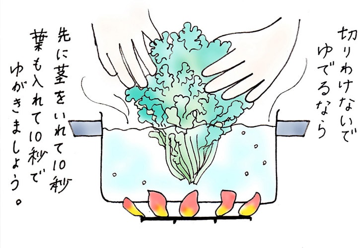 春菊のゆで方、好き嫌いを克服する