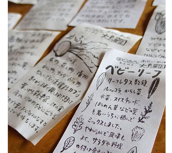 大島さんの野菜セット