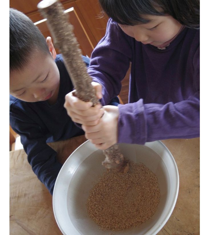 箱根の山椒の木